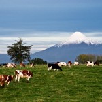 Foro CytedIberoeka mostrará novedosas aplicaciones desarrolladas en TICs y Electrónica para los sectores forestal y agropecuario