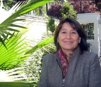 Ximena Luengo, Directora Fonis