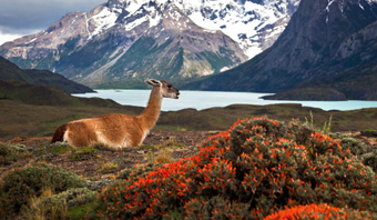 ¿Quieres financiar tu proyecto?