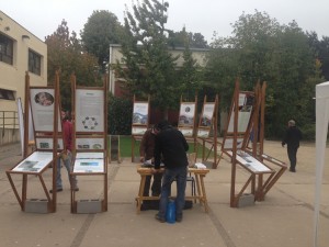 Centro Regional Ceres realizará exposición de plataformas de innovación en Valparaíso