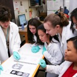 CONICYT y BECAS CHILE seleccionan 34 postulantes a Becas Complementarias para Estudios en el Extranjero