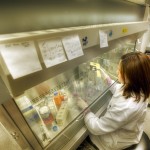 CONICYT inicia convocatoria 2015 de Becas de Doctorado en el Extranjero, BECAS CHILE