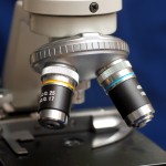 Se inicia convocatoria de postulantes para Becas de Pasantía Doctoral en el Extranjero