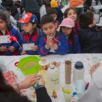 Partió la VIII Fiesta de la Ciencia y la Tecnología en la Región Metropolitana