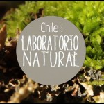 “Chile: Laboratorio natural” vuelve a las pantallas de TVN