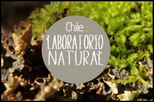 “Chile: Laboratorio natural” vuelve a las pantallas de TVN