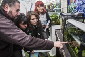 Fiesta de la Ciencia