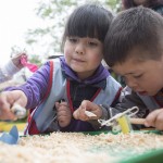 CONICYT culmina exitosa Semana de la Ciencia y la Tecnología