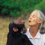 Jane Goodall: Ciencia y tecnología al servicio de la Conservación