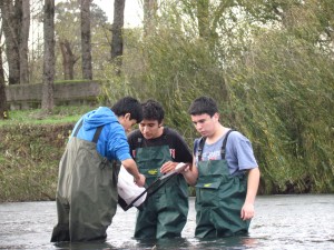 Ganadores de Osorno