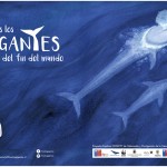 Libro ilustrado infantil invita a conocer las grandes ballenas del sur de Chile