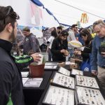 Fiesta de la Ciencia y la Tecnología 2017 finalizó con masiva concurrencia