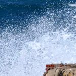 Charla entregó claves sobre cómo reaccionar ante marejadas y tsunamis