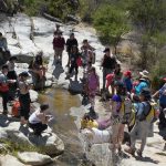 Docentes de todo Chile pueden participar en campamento gratuito de ciencias