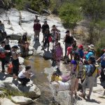 Innovar desde la naturaleza: el sello del último campamento de ciencias para profesores de todo Chile