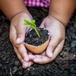 Imagen de manos de niña en huerto escolar