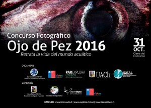 Concurso fotográfico busca destacar la biodiversidad marina de nuestro país