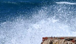 Charla entregó claves sobre cómo reaccionar ante marejadas y tsunamis