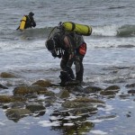 Nuevo estudio genético revela una desconocida diversidad de algas en Magallanes y la Antártica