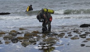 Nuevo estudio genético revela una desconocida diversidad de algas en Magallanes y la Antártica