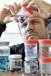 Proyecto CONICYT revive a los dinosaurios a través de embriones de aves