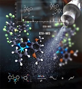 Importante publicación de proyecto Fondecyt en revista de la American Chemical Society