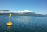 Boya oceanográfica en el Fiordo Reloncavi detecta señal de la erupción del Volcán Calbuco