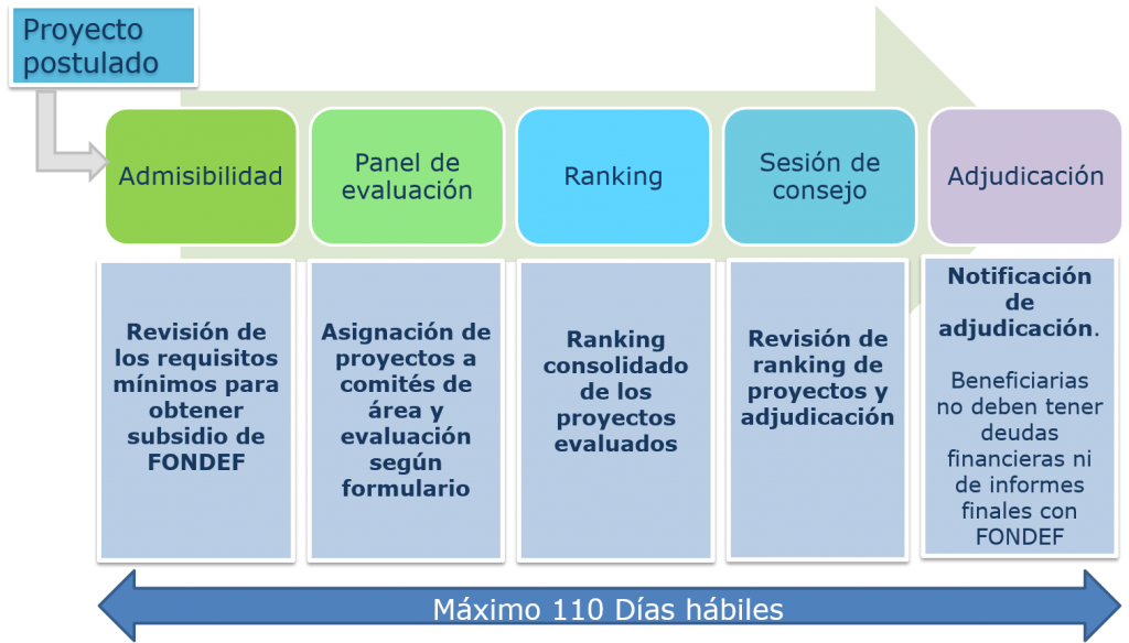 Proceso de evaluación y adjudicación