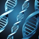 CONICYT prepara nuevo concurso del Programa Genoma de Fondef