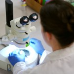 Proyecto Fondef propone cambios a la normativa de envases para alimentos