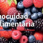 CONICYT da a conocer resultados del Primer Concurso de Inocuidad y Calidad Alimentaria