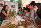 Semana Nacional de la Ciencia y la Tecnología
