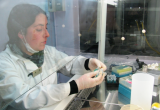 CONICYT amplía plazo para postular al Concurso Regional de Tesis de Doctorado en la Industria en la Región de Antofagasta