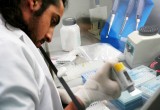 PAI anuncia proyectos seleccionados en Concursos de Inserción en el Sector Productivo