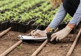 Proyectos adjudicados por CONICYT vincularán a la academia con la industria