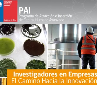 Investigadores en Empresas 