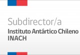 Alta Dirección Pública inicia concurso para proveer el cargo de Subdirector/a del INACH