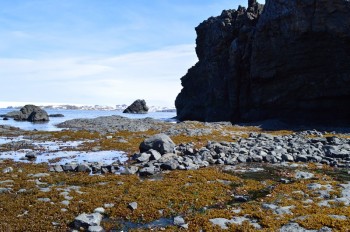 Las actividades prácticas consistirán en la confección de un algario, de un mapa con la Biodiversidad Antártica, juegos, etc.