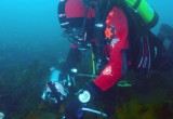 Resultados de Anillo de Algas Antárticas son destacados por SCAR