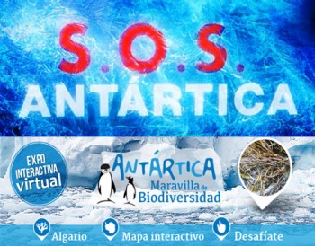 SOS ANTARTICA Y EXPO VIRTUAL ANILLO ART1101