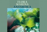 Proyecto Anillo Antártico lanza libro sobre flora marina