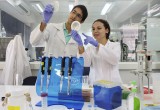 Con seis nuevos laboratorios se inaugura centro que potenciará desarrollo biotecnológico en Chile