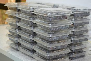 UDT desarrollará nuevos proyectos sobre plásticos biodegradables