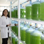 Científica del CICITEM inicia estadía en España para ampliar cooperación en el ámbito de las microalgas