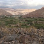 Investigador CIDERH busca mejorar con hongos la producción agrícola en zonas áridas
