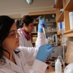 Crean Plataforma con Base de Datos de Genes de la Frambuesa Chilena Heritage