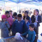 CIDERH participó con muestra científica en feria Explora-Conicyt de Alto Hospicio