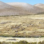Tesista de la Universidad Arturo Prat construirá un software que permitirá caracterizar el comportamiento hidráulico de suelos