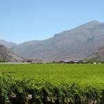 CONICYT invita a los profesionales y estudiantes de la Región de Atacama a participar en el taller: ¿Cómo postular mis proyectos?