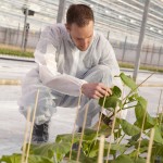 El Programa Regional de CONICYT entrega recursos para el fortalecimiento de cinco de sus centros investigación contribuyendo a su consolidación en regiones